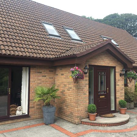 The Firs - Englefied Studio Bed and Breakfast Douglas Esterno foto