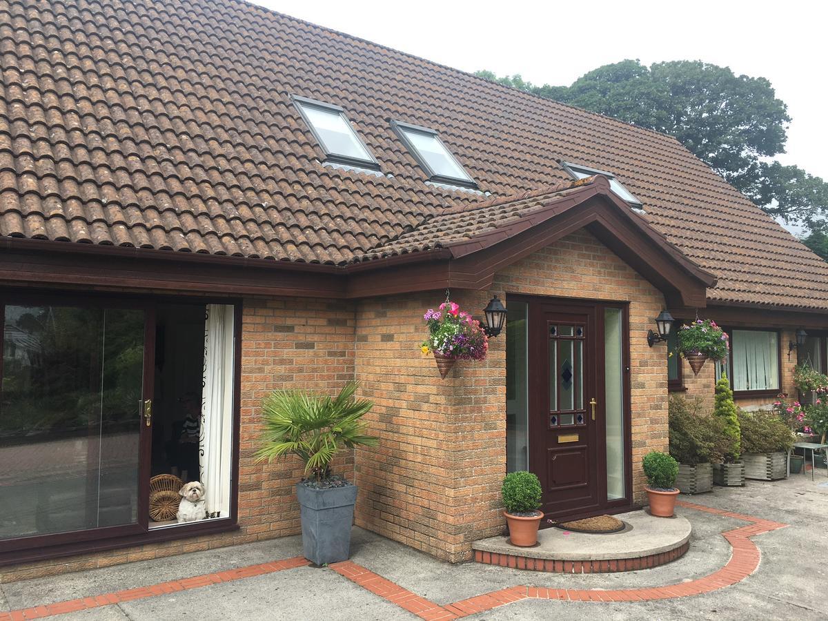 The Firs - Englefied Studio Bed and Breakfast Douglas Esterno foto